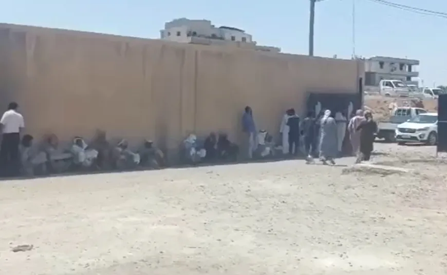 Fatureyên genim di navbera deregmayîn û dabeşkirinê de