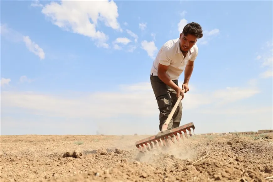 Ji ber lêçûnên zêde cotkarên Til Temirê berê xwe daye çandiniya kevneşopî