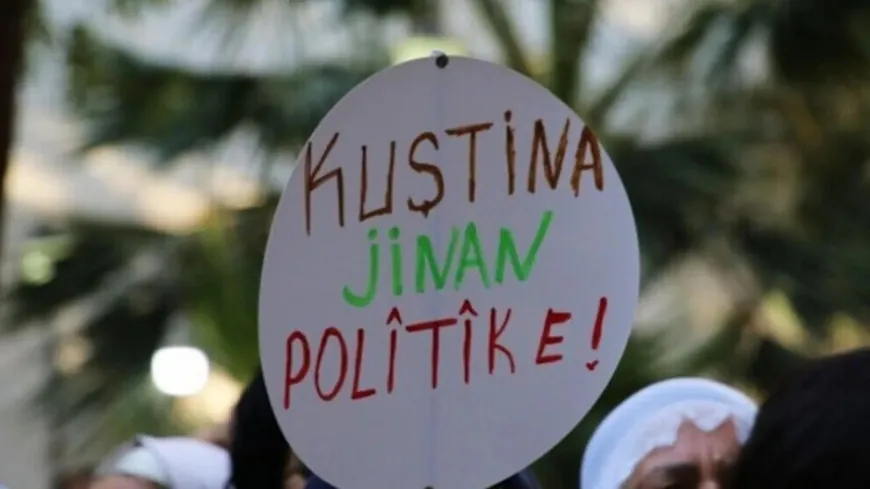 ‘Di meha Îlonê de li Tirkiyeyê 28 jin hatin kuştin’