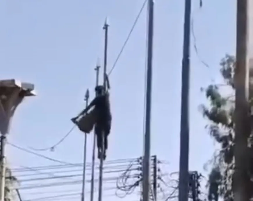 Beriya merasîmê rakirina ala Sûriyeyê li Hesekê tevlihevî derket