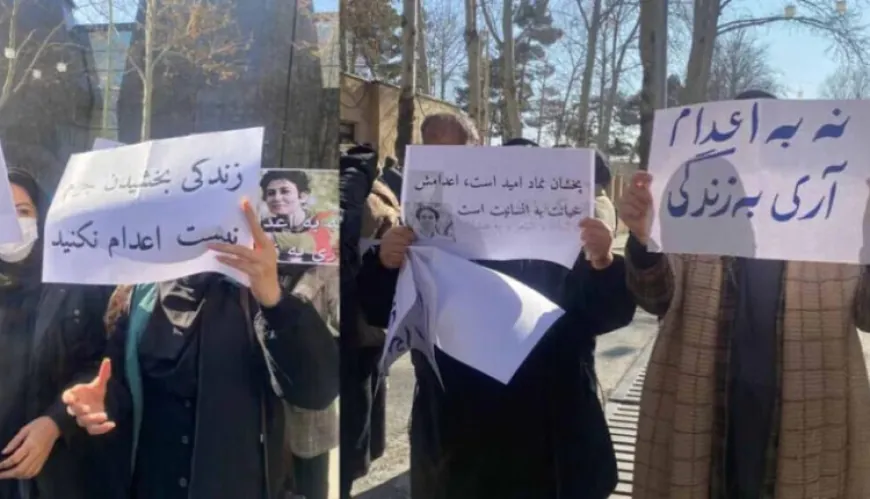 Kampanyaya "Sêşema Ji Darvekirinan re Na": 72 kes hatine darvekirin