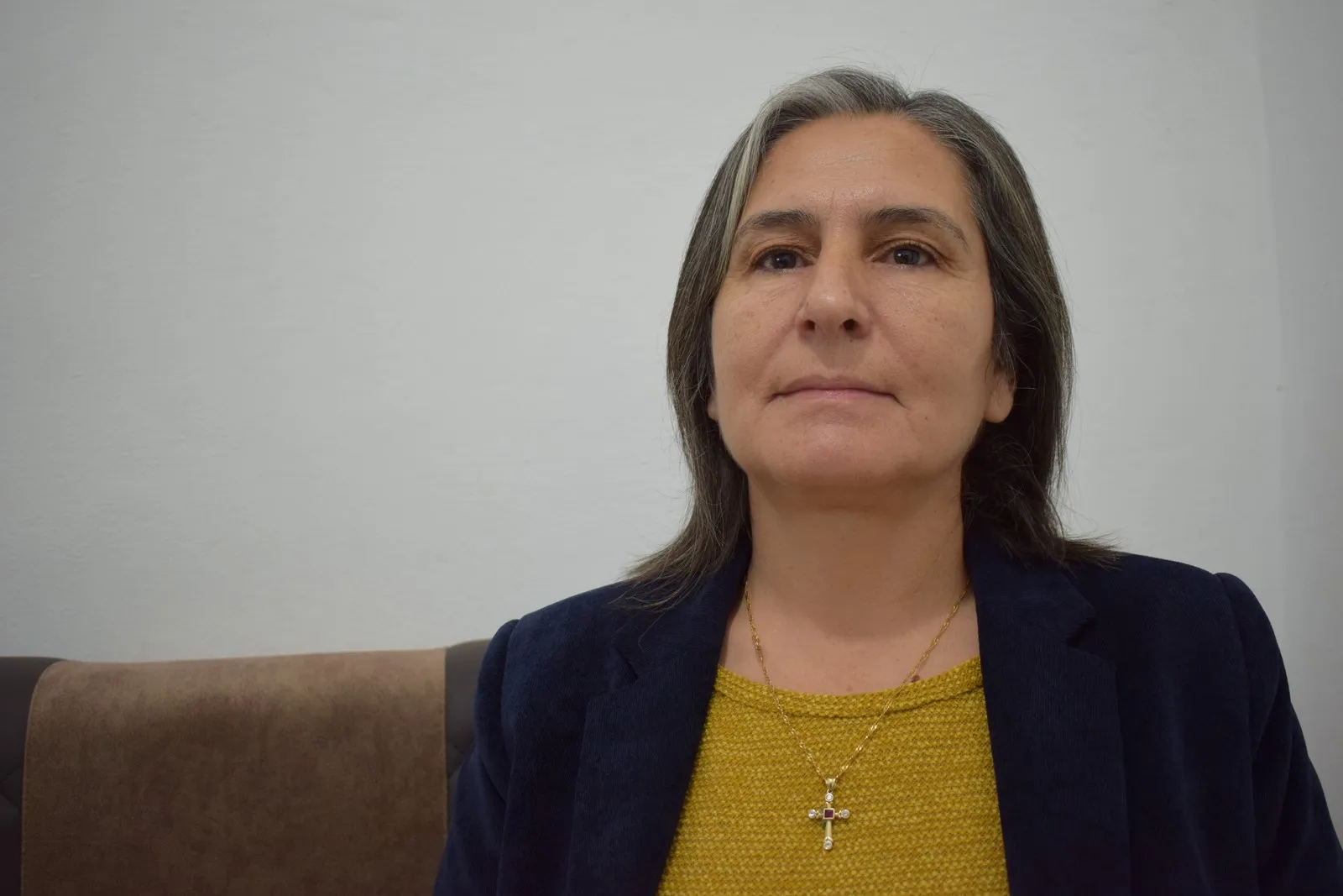 «Наш демократический проект препятствует реализации оккупационных планов Эрдогана»
