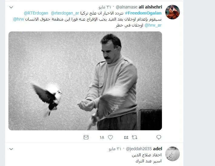 Саудовская Аравия начинает кампанию, призывающую к свободе Оджалана