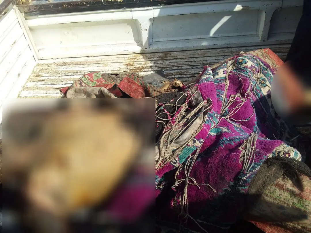 5 мирных жителей погибли и 3 получили ожоговые ранения в попытке потушить пожары в районе Тель-Кочар