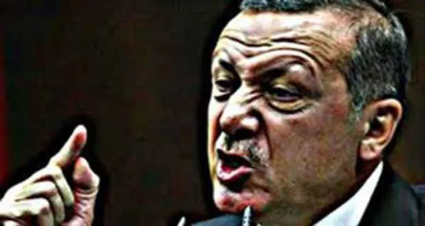 «Нордик монитор»: турецкая армия обучала наемников проводить диверсионные операции в Сирии