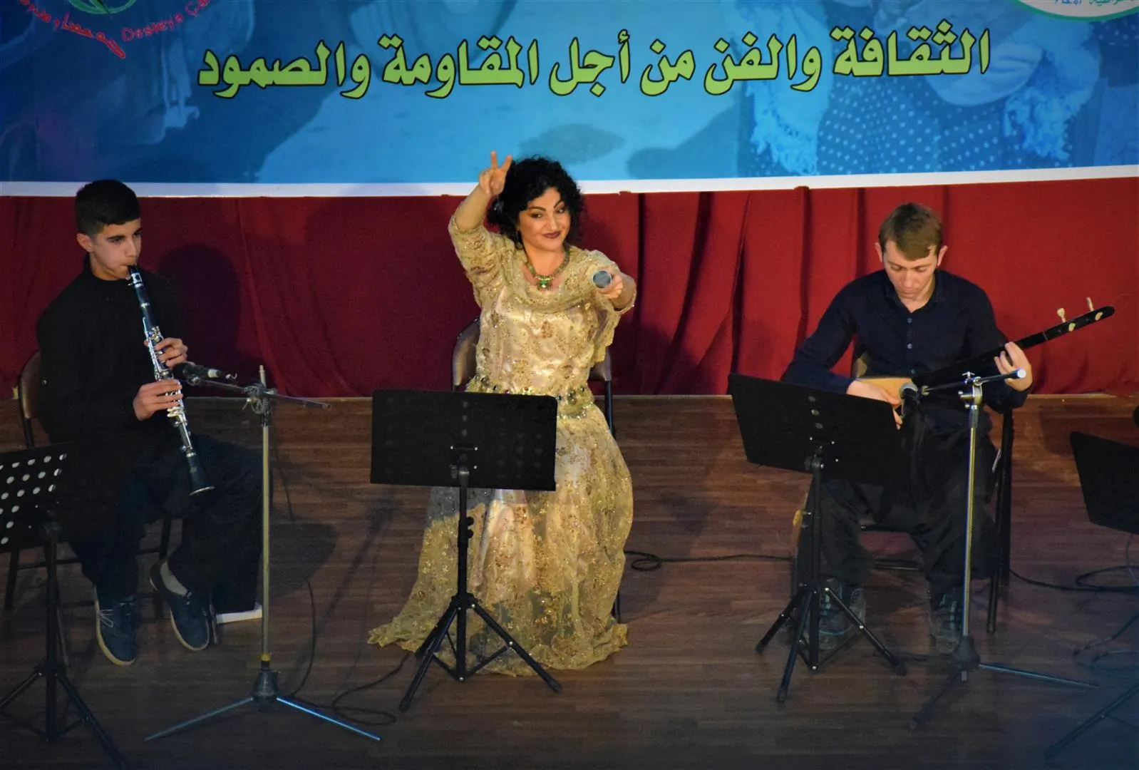 Концерт, посвящённый сопротивлению Рожава