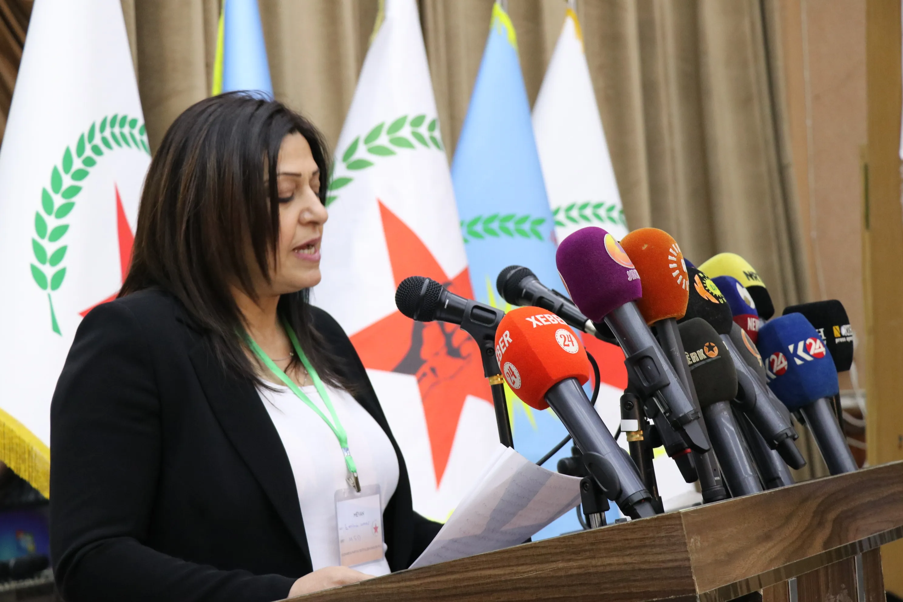 Амина Омар: PYD  играет ведущую роль в разрешении сирийского кризиса и курдской проблемы