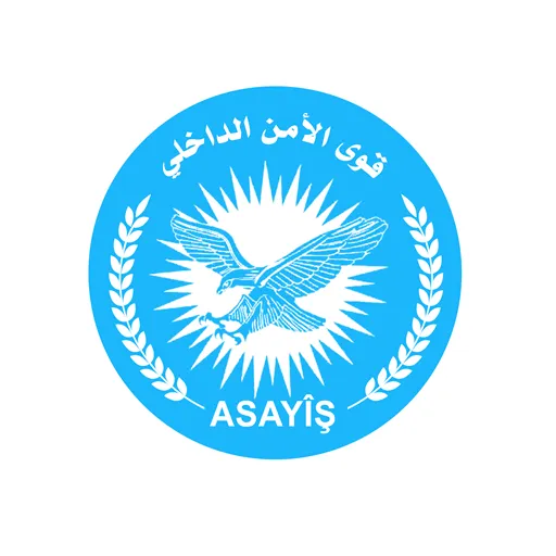 Силы безопасности выступили с заявлением о взрыве в Камышло
