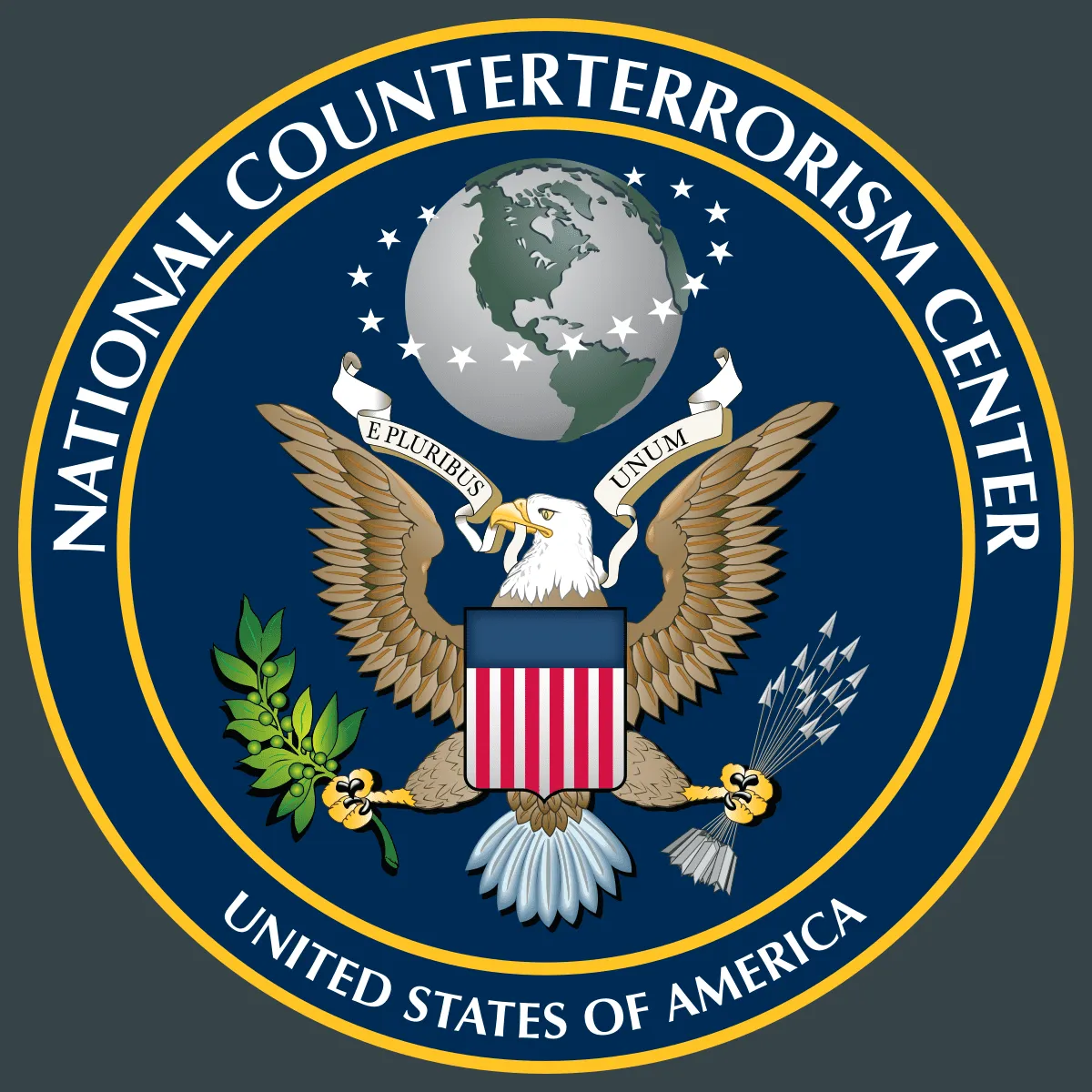 США: «ИГИЛ стремится похитить своих боевиков у СДС»