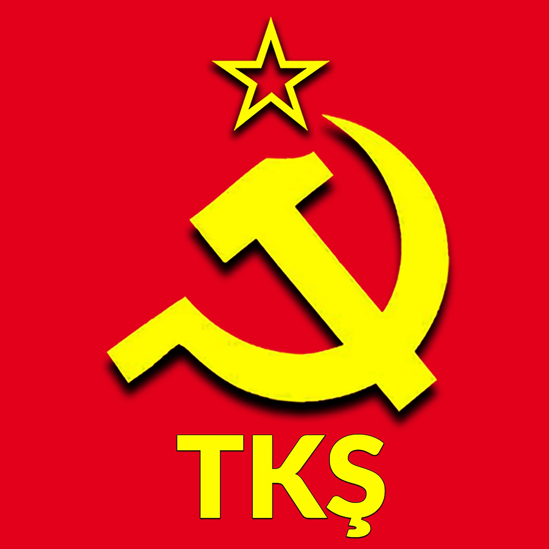 РКП призвала к усилению сопротивления перед турецкими оккупантами