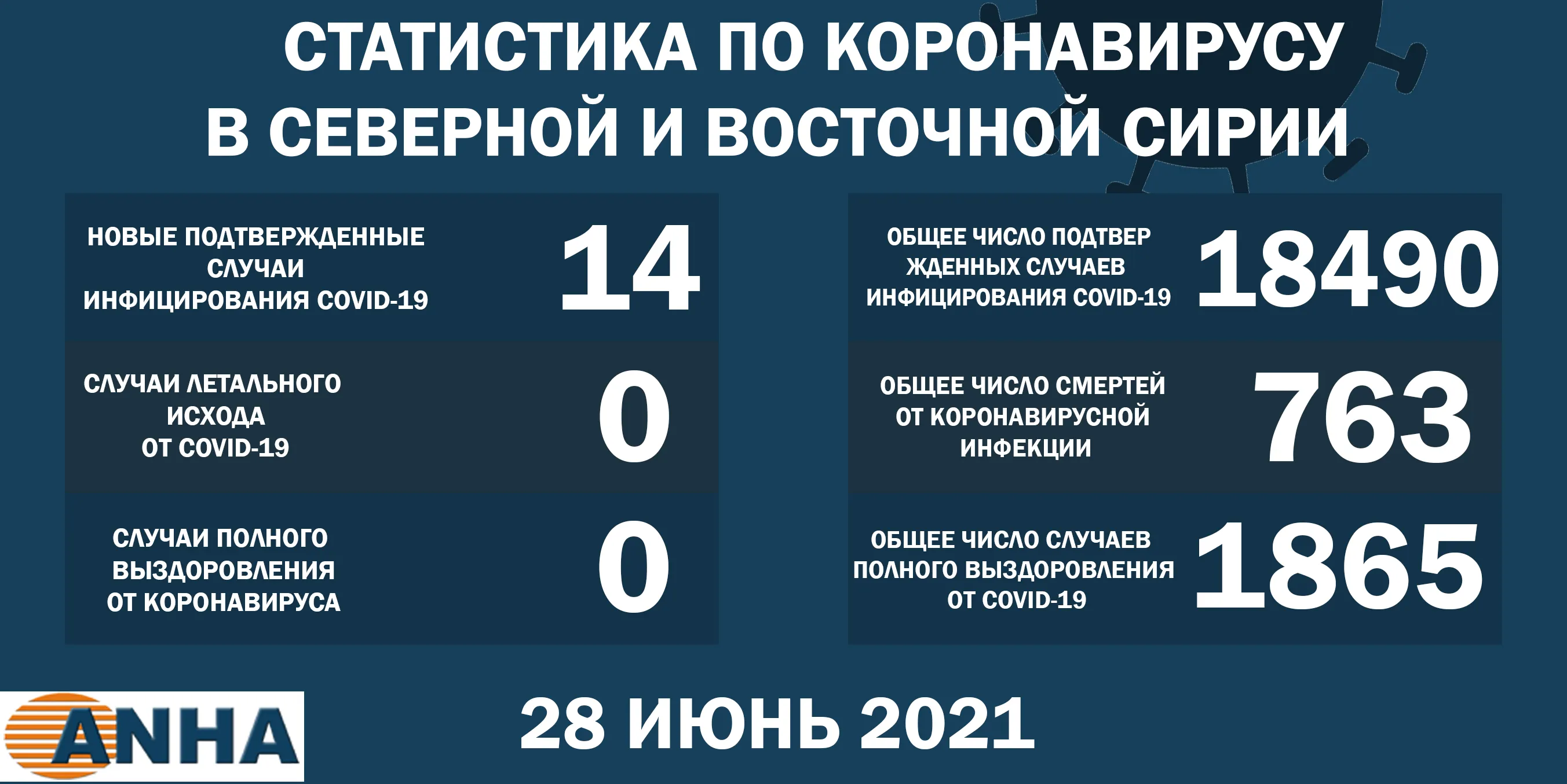 В северо-восточной Сирии выявлено 14 новых случаев заражения COVID -19