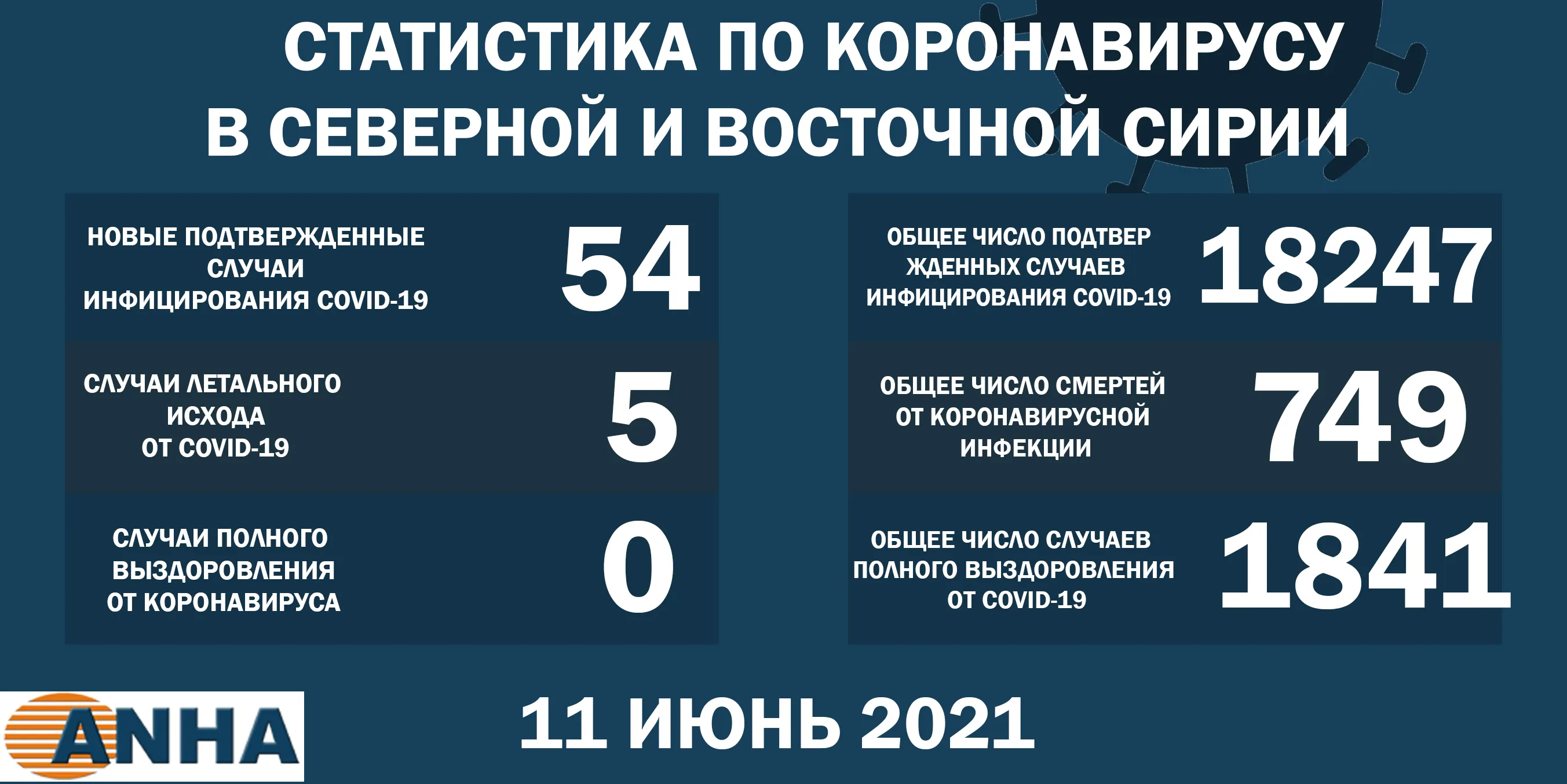 ​​​​​​​ В северо-восточной Сирии еще 54 человека заразились коронавирусом