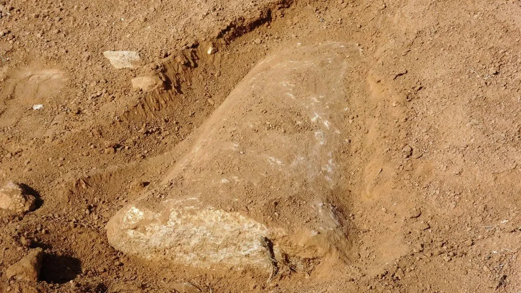 Рядом с Айн Исой обнаружено историческое место
