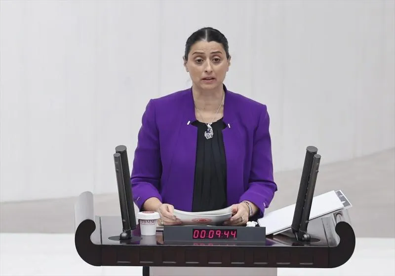 Фелекнас Удже спросила спикера парламента о признаниях помощи ИГИЛ