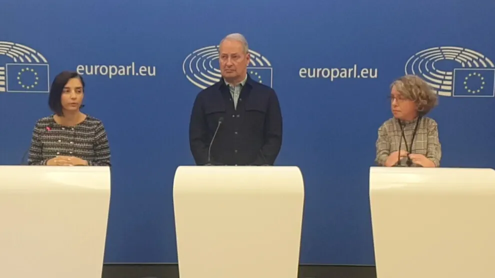 ​​​​​​​​​​​​​​Представители курдов в Европейском парламенте призывали Турцию прекратить нападения