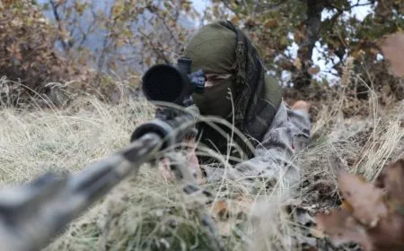 В ноябре партизаны провели 193 операции и ликвидировали 124 оккупанта