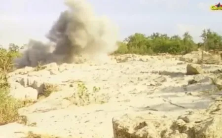 Новые видео партизанских операций