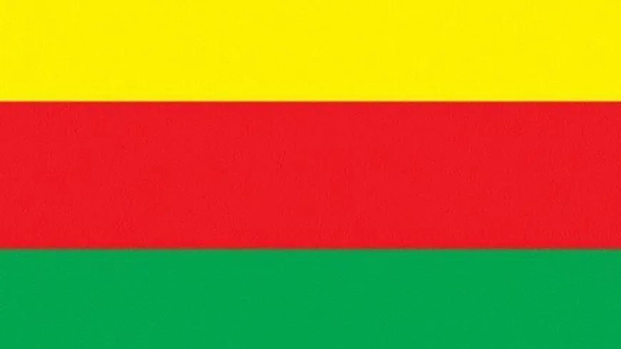Заявление ДДО про восстание в Камышло 12 марта