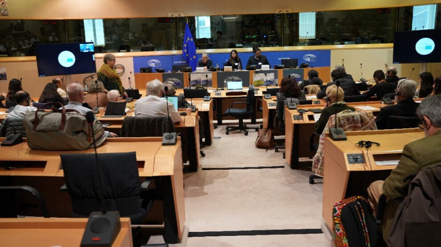 Конференция в Европейском парламенте: «Изоляция в Имрали — уникальный случай»