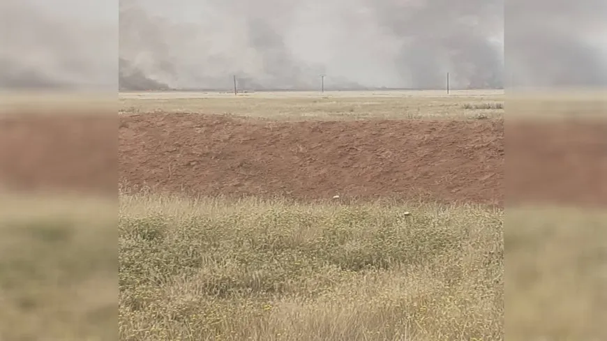 Турецкие наемники подожгли сельскохозяйственные поля в Зиргане 