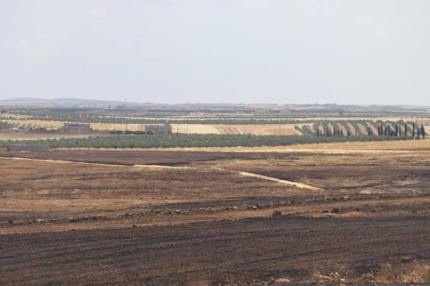 Из-за атак турецких оккупантов сгорело 1500 гектаров земли и более 18 000 оливковых деревьев