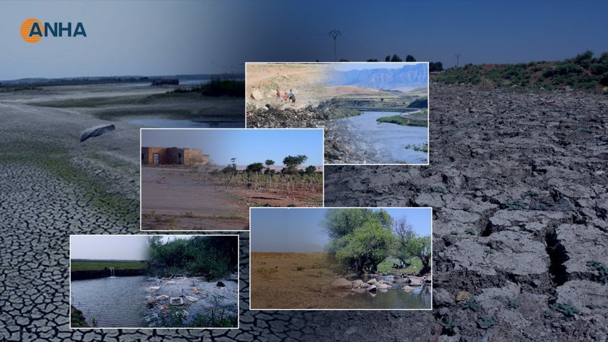 В кантоне Джазире происходит серьезное ухудшение состояния природных ресурсов