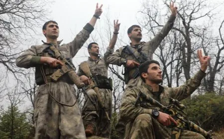 Операции партизан в Запе