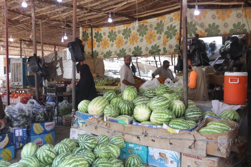 Производство овощей в провинции Дейр-эз-Зор выходит на самообеспечение