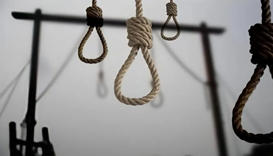 За год в Иране казнили более 400 человек