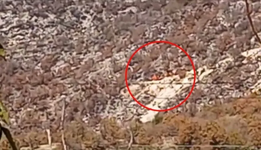 В Южном Курдистане ожидается турецкое военное подкрепление для расширения оккупации