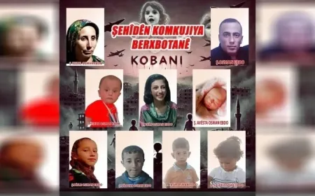 Трагический конец для семьи в сельской местности Кобани, пытавшейся заработать на жизнь