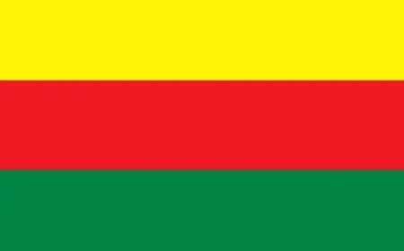 ДДО отвергает новое сирийское правительство и призывает к инклюзивному представительству