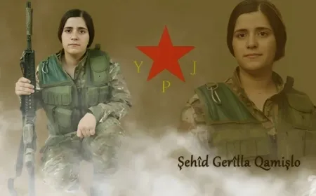 ЖОС объявили о гибели своего бойца