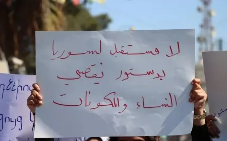 Политики: Конституционная декларация увеличит страдания сирийского народа