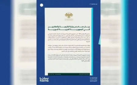 Переходное правительство Сирии осудило удары по сельской местности Дамаска