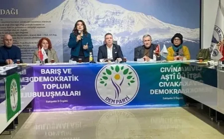 Депутатка Партии DEM: «Курдов по-прежнему просят интегрироваться, но в какую систему?»