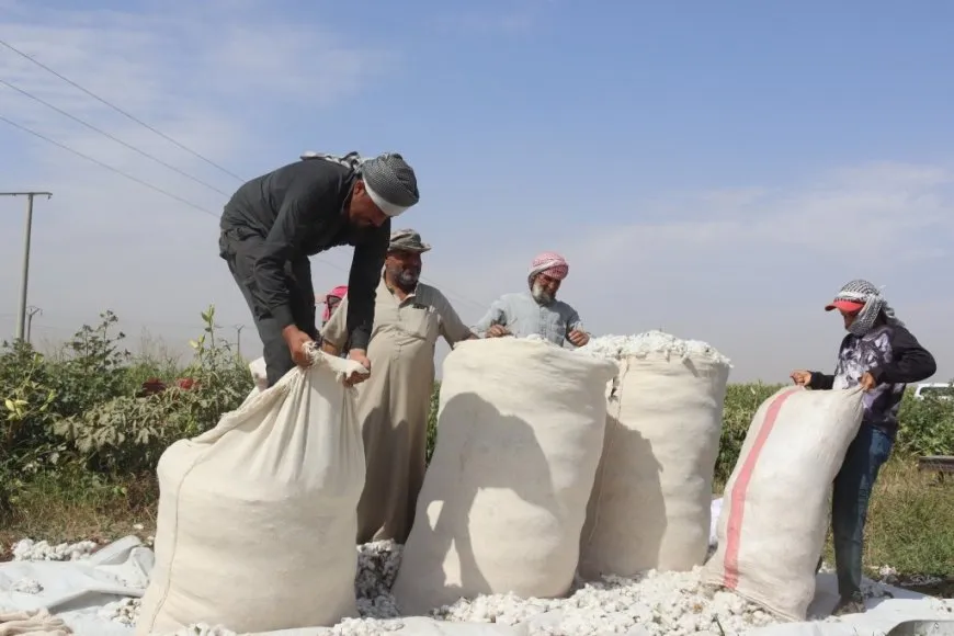 Что произошло в 2025 году? Наиболее значимые достижения Автономной администрации