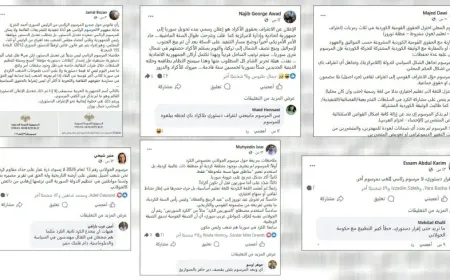 Активисты критикуют указ Переходного правительства так как он не имеет конституционной ценности