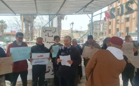 Люди протестуют в Сувейде и требуют политических прав