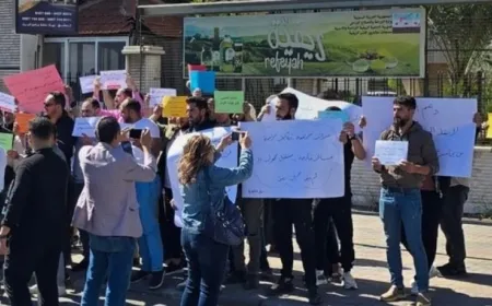 Птицеводы в Дамаске протестуют против импорта курятины