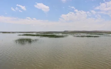 Рост уровня воды в Евфрате угрожает деревням в западной сельской местности Кобани