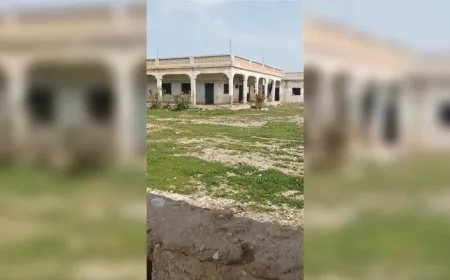 «Они превратили мой дом в хлев»