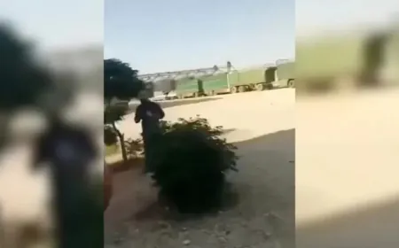 В Ракке растёт число жалоб на коррупцию со стороны фермеров и перевозчиков зерна