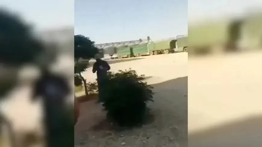 В Ракке растёт число жалоб на коррупцию со стороны фермеров и перевозчиков зерна