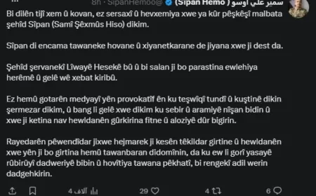 Сипан Хамо выразил соболезнования и пообещал наказать виновных в смерти бойца Сами Хиссо