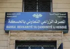 Сельскохозяйственный банк Хасаке опроверг сообщения о сроках выплаты средств за пшеницу