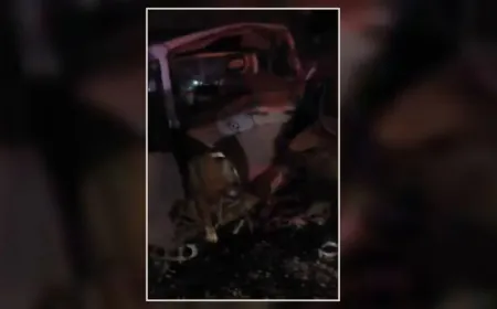 В результате столкновения автобуса и грузовика на западе Дейр эз-Зора есть пострадавшие