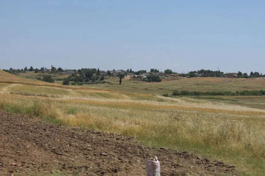 Жители Алиана: Курдское единство – историческая необходимость для защиты прав и достижений
