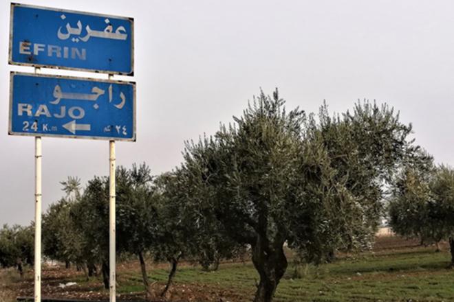 İşgalciler Efrîn’de suç işlemeye devam ediyor