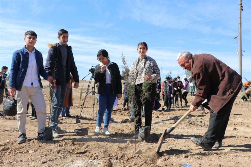 Hesekê'de 500 fidan ekildi